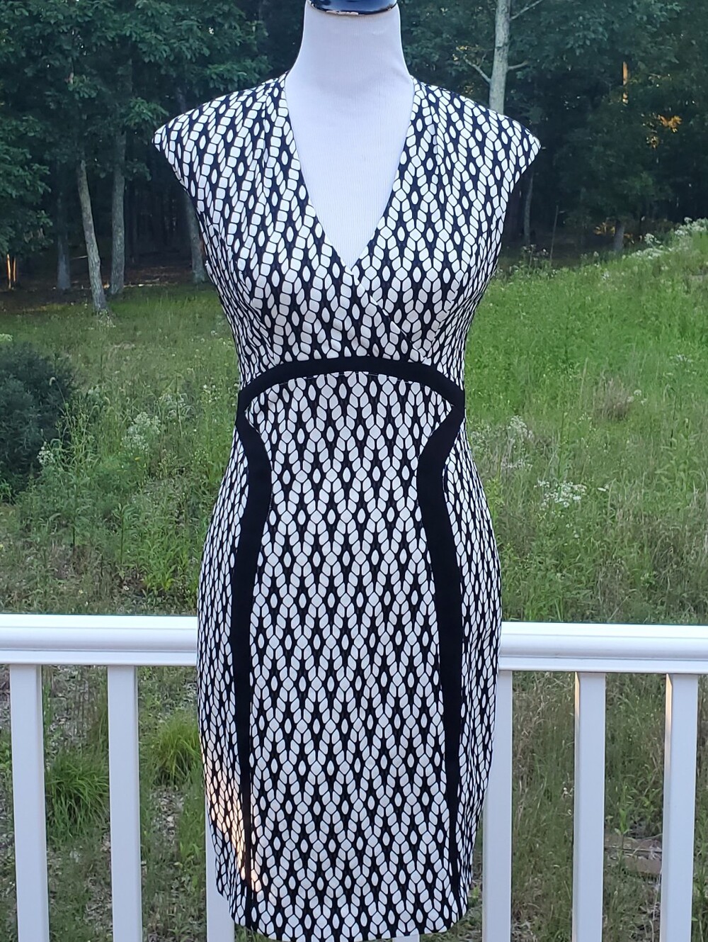 Kay Unger dress  Black & White